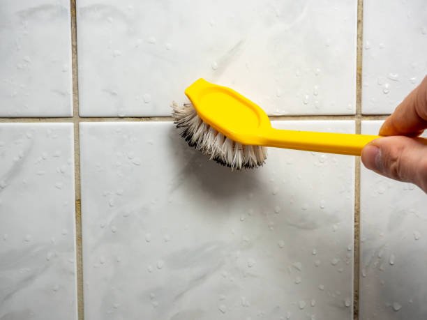 Best Certified Mold Removal  in Pace, FL